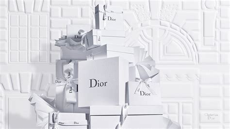 brown dior shoes|dior official online store.